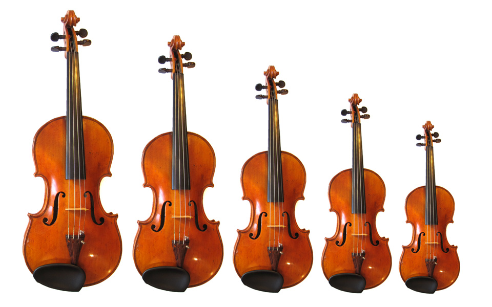 Violin