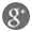 Google icon